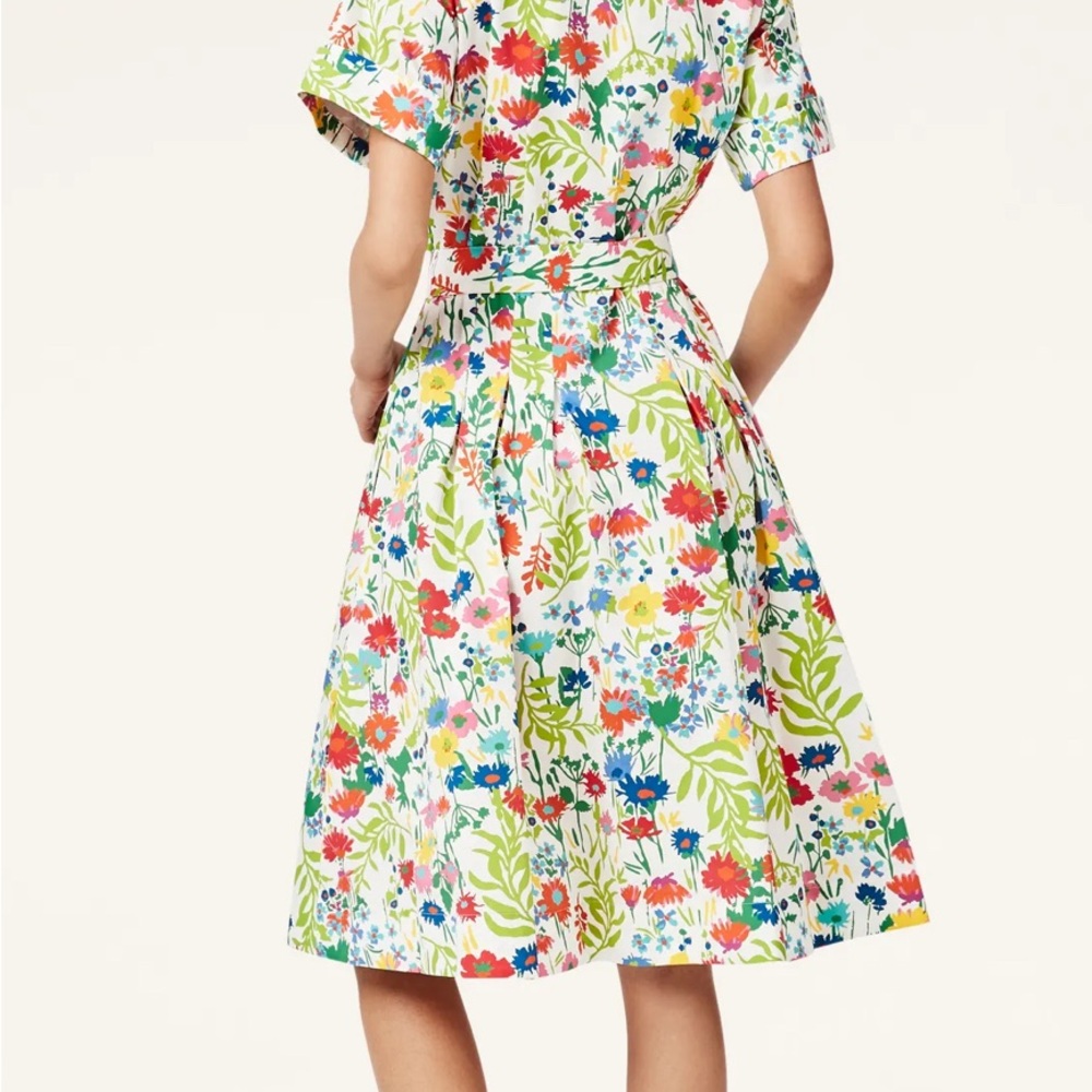 🌟NWT Brooks Brothers Dress - Picture 3 of 5